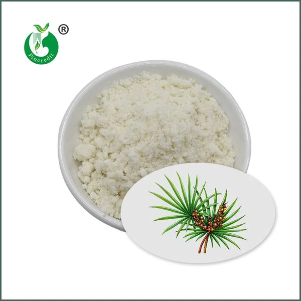 ผงสกัด Saw Palmetto