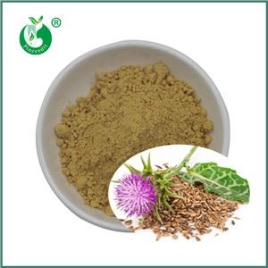 แจ้งให้คุณทราบเกี่ยวกับสารสกัดจาก Thistle นมในหนึ่งนาที