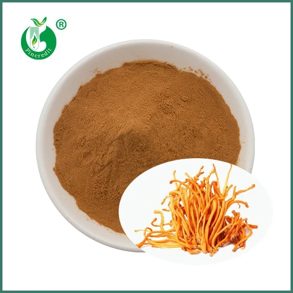 สารสกัดเห็ด Cordyceps Militaris ออร์แกนิค